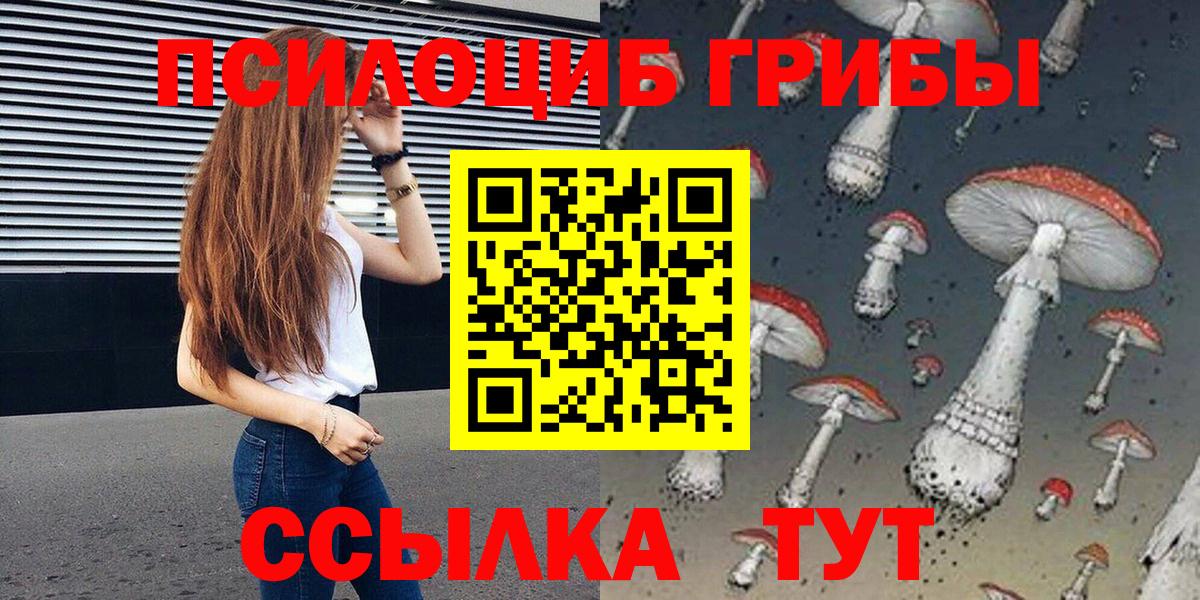 Галлюциногенные грибы мицелий Гатчина