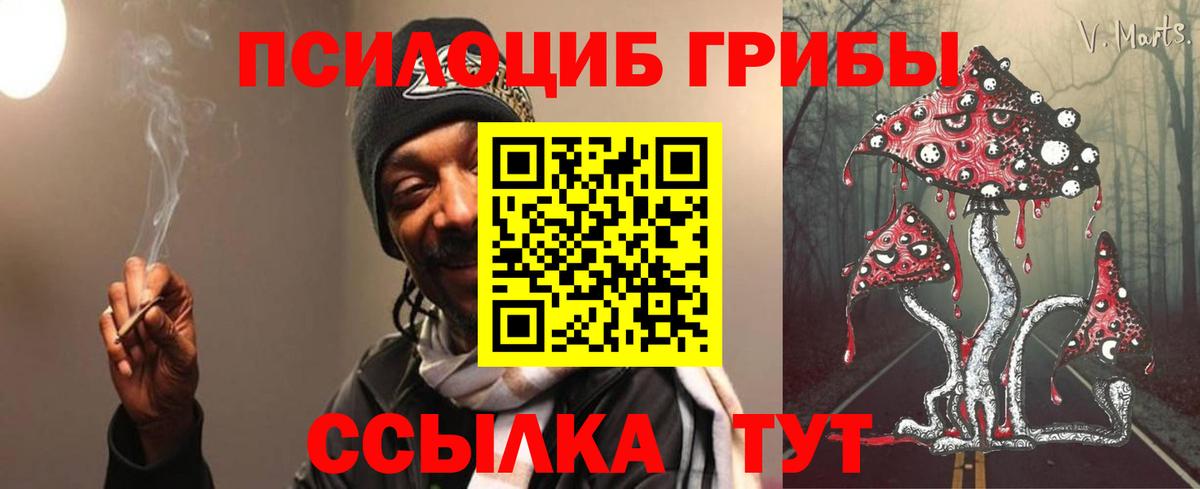 Гатчина  Галлюциногенные грибы ЛСД  магазин    Вход с VPN 